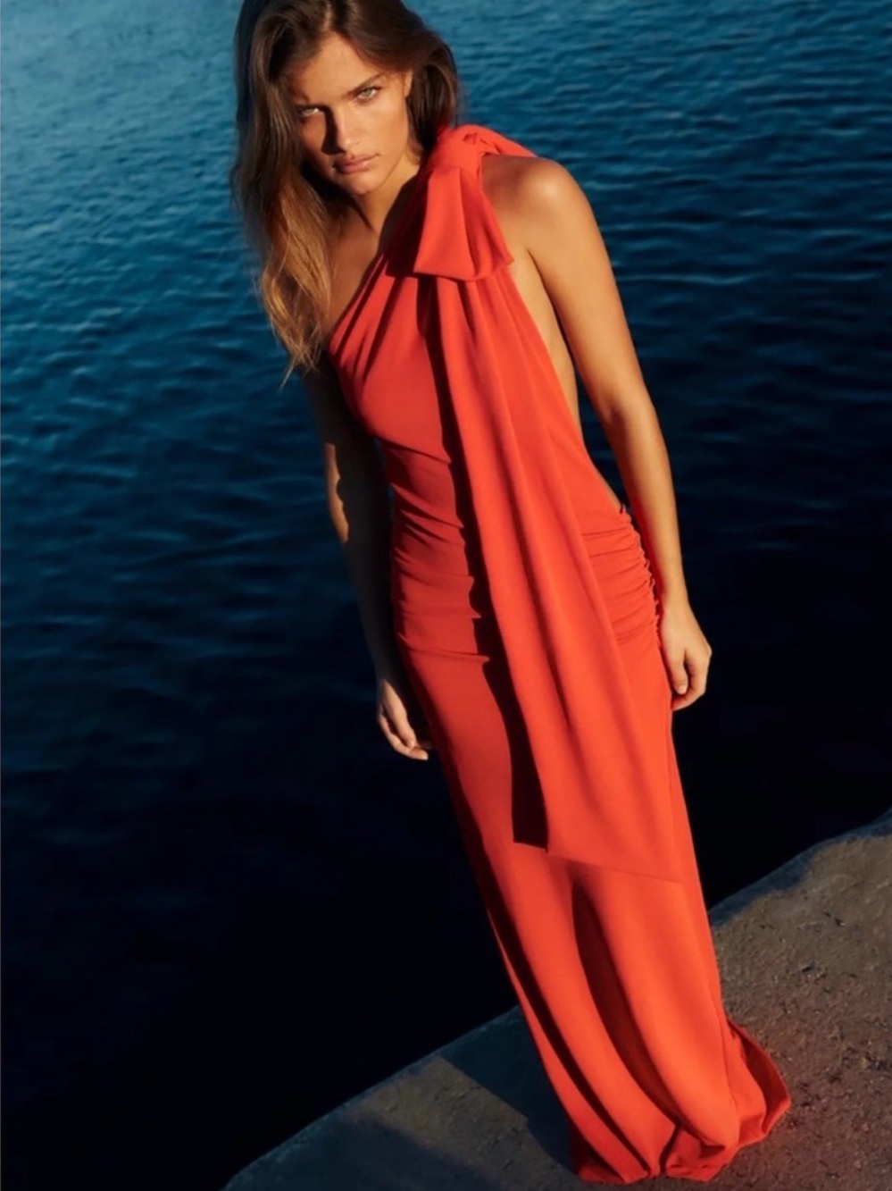 Zara dress